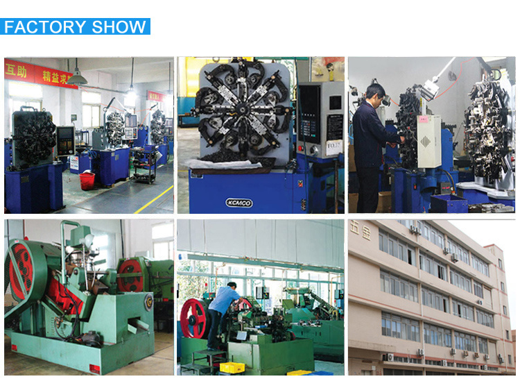 China Factory OEM Compression Spring Torsion Spring