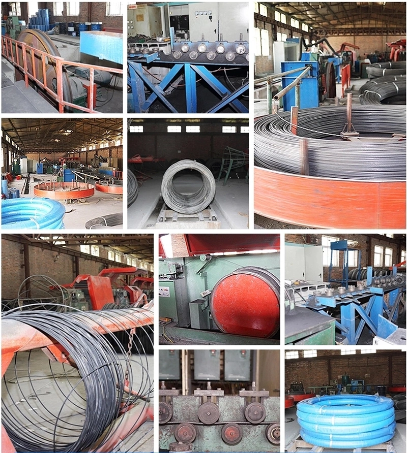 Chinese Suppliers Cold Heading Spring Steel Wire Stainless Steel Wire