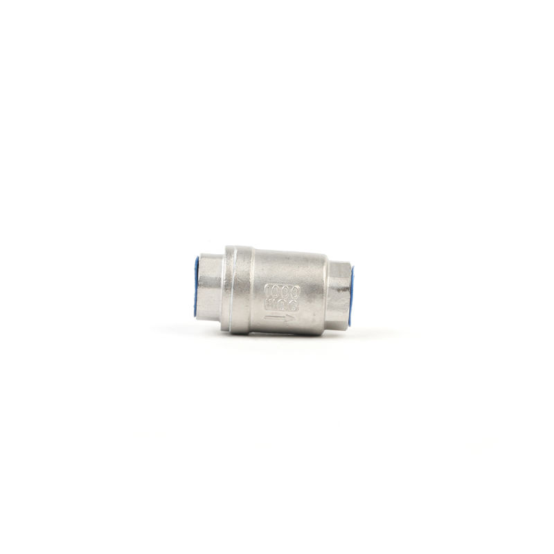 Spring Loated Stainless Steel Threaded Check Valve Vertical Type