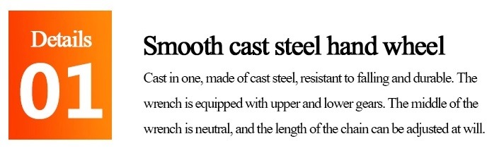 Alloy Steel Lever Hoist 0.75t 1.5t for Garages