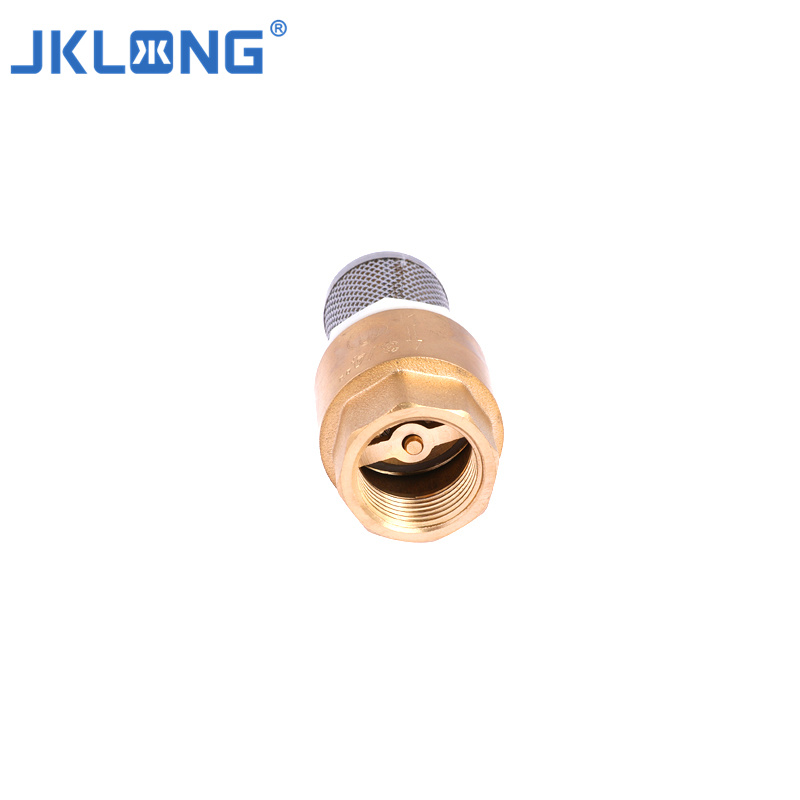 OEM&ODM Chinese Factory Female Thread Brass Water Foot Valve Brass Spring Check Valve