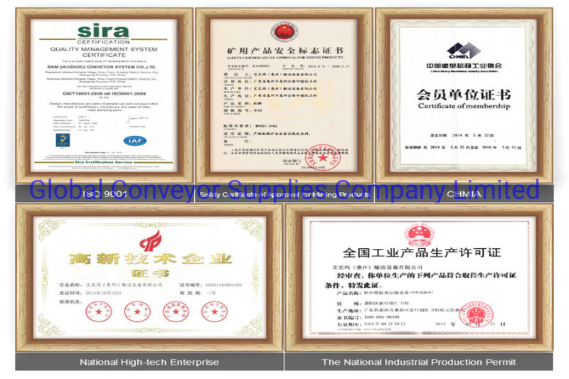 OEM Various Small Thin Wire Closed End Compression Springs