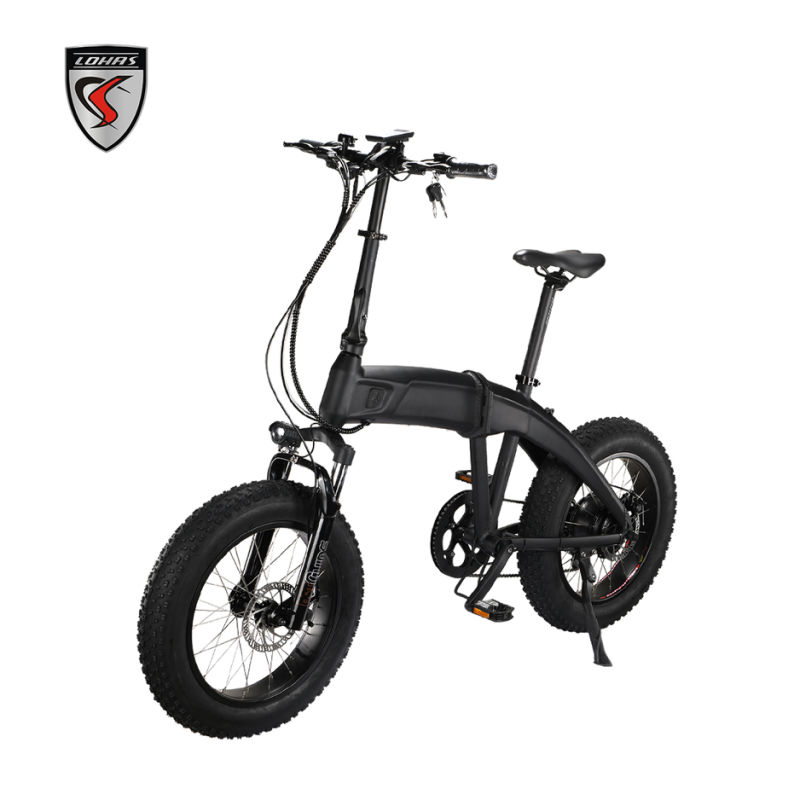 20" Fat Tire Foldable Electric Bikes 500W 750W