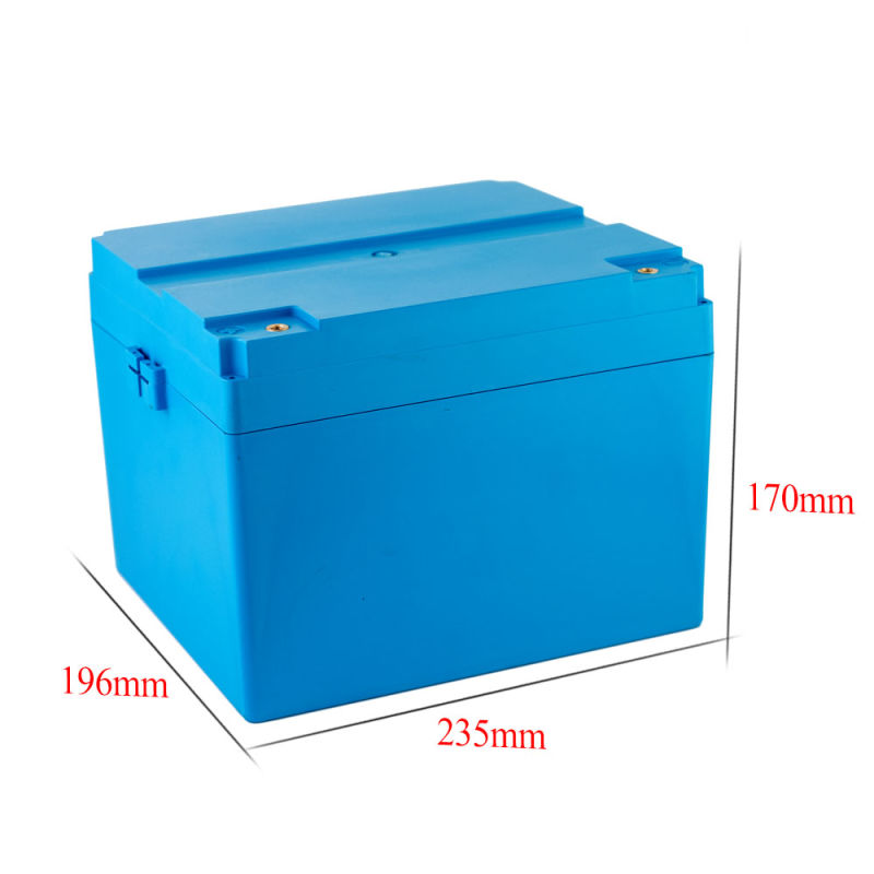 Wholesale Custom 12V 100ah LiFePO4 Batteries with BMS for Electric Bike Motor Scooter