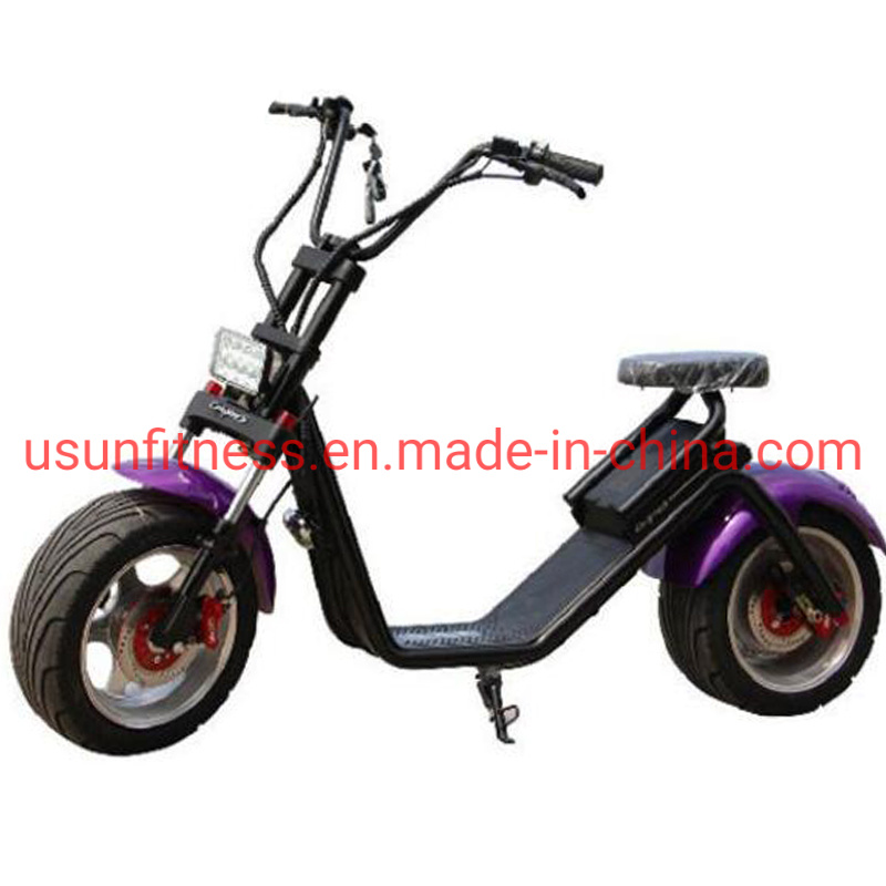 2021 Hot Electric Motorbike with Powerful Engine and Fat Tire