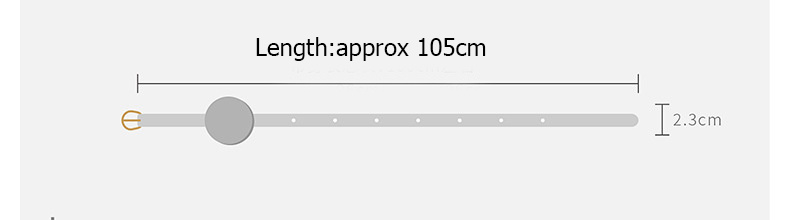 Fashionable Instagram-Inspired Style Waist Belt with Small Round Purse