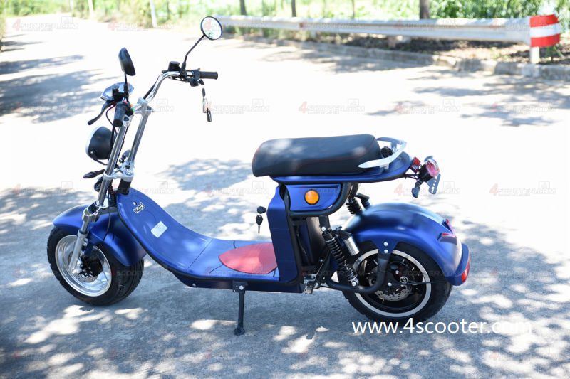 2020 New Hot Selling Heavy Load Citycoco Scooter Electric Motorbike