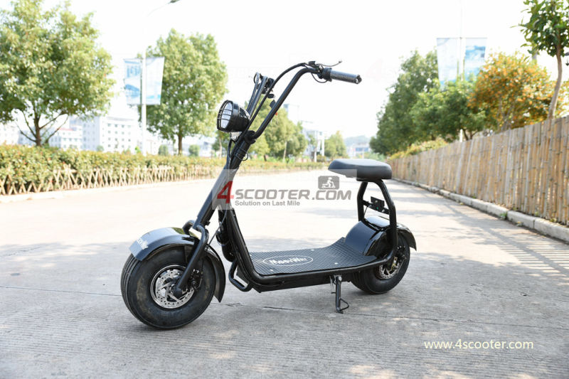 Cheap Model Two Wheels Cool Sport Electric Scooter Motorbike Citycoco