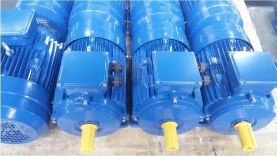 Electric/Electrical Electric Hoist AC Motor Best Price