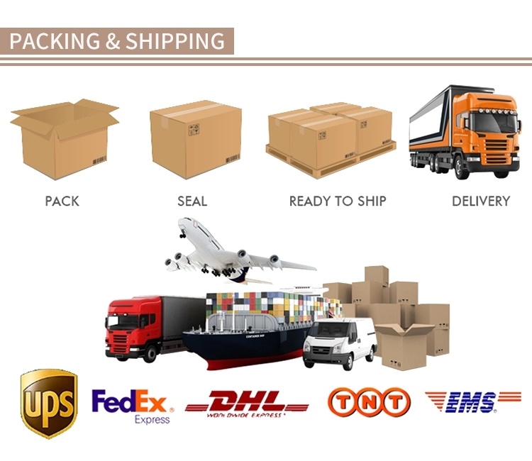 Foldable Tote Insulated Cooler Lunch Box with Front and Rear Pockets for School