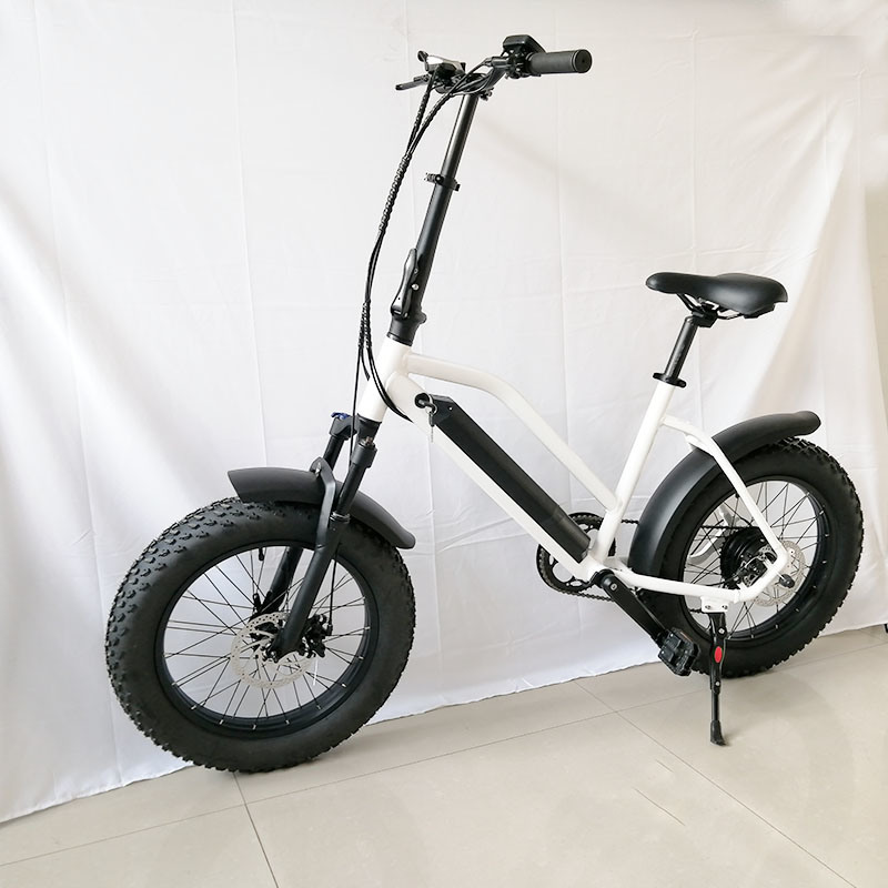 20inch 48V 500W Fat Tire Mountain E Bike Electric Bicycles with CE