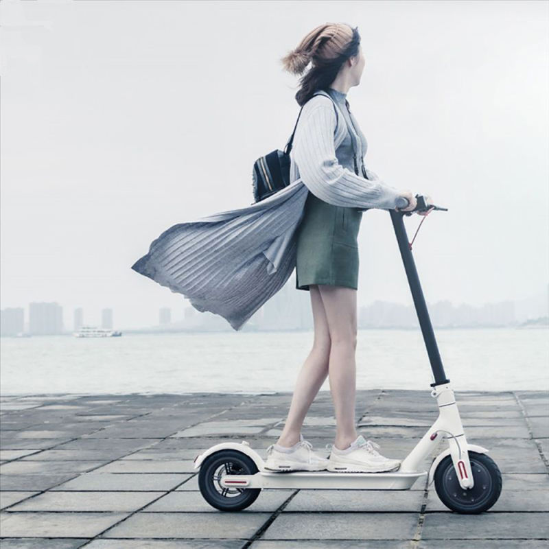 8.5inch off Road Kick Scooter 250W Electric Scooter Foldable Scooter