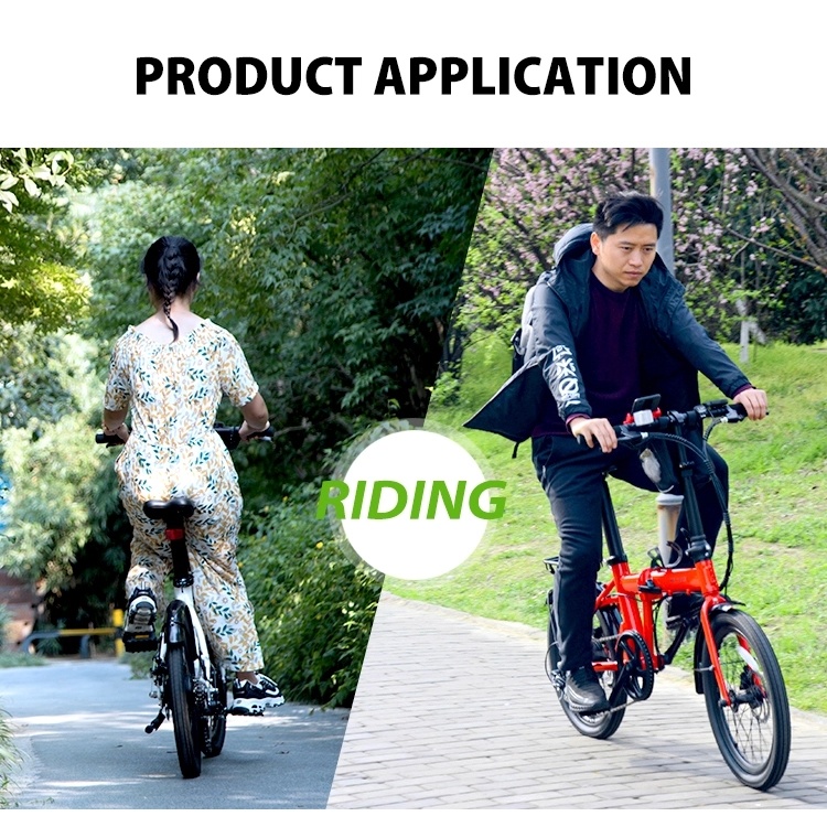 New Promotion Low Price 250W Electric Folding Bicycle Electric Bicycles 20