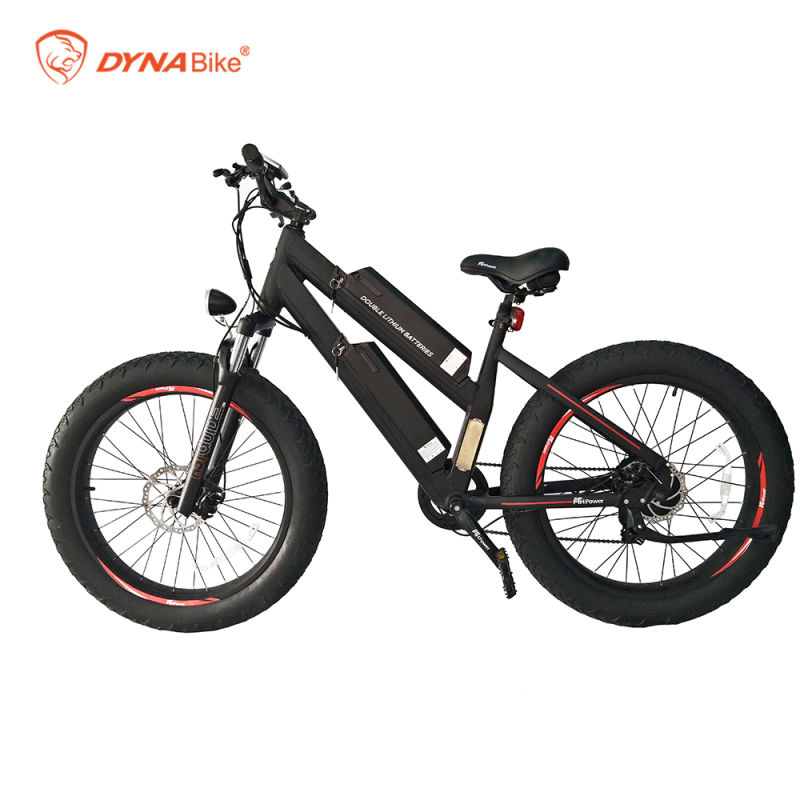 Dual Lithium battery 48V 750W Bafang Motor Fat Bike