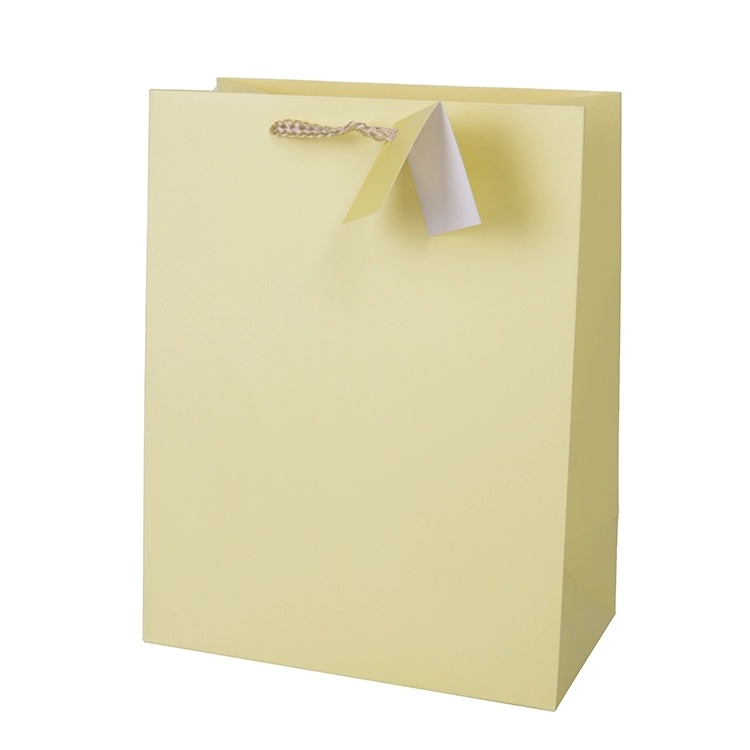 Custom Candy Color Plain Color Simple Gift Paper Bag Monochrome Handbag