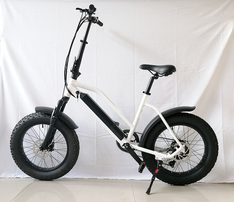 20inch 48V 500W Fat Tire Mountain E Bike Electric Bicycles with CE