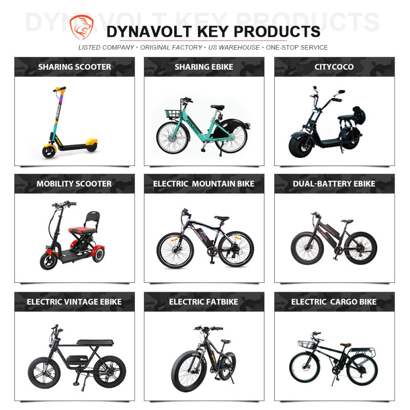 Electric Bicycle for Adult Cheap Price 48V 750W Rear Motor Electric Bike