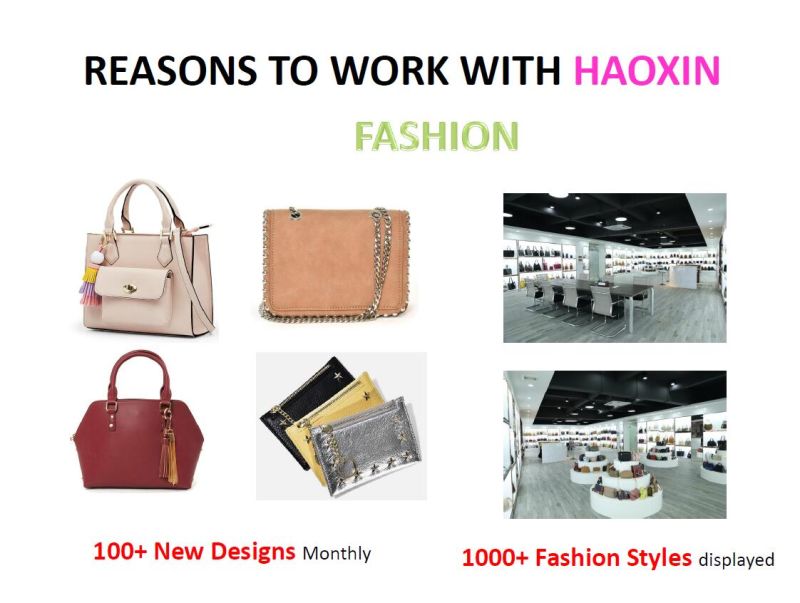Latest Fashion Luxury Ladies PU Handbags for Women
