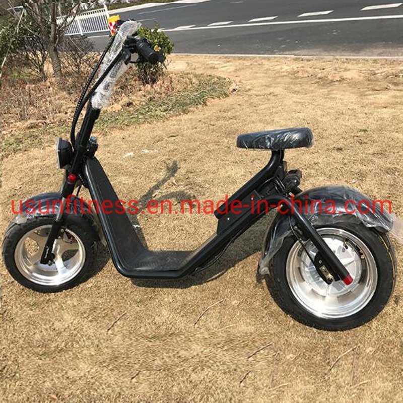 2021 Hot Electric Motorbike with Powerful Engine and Fat Tire