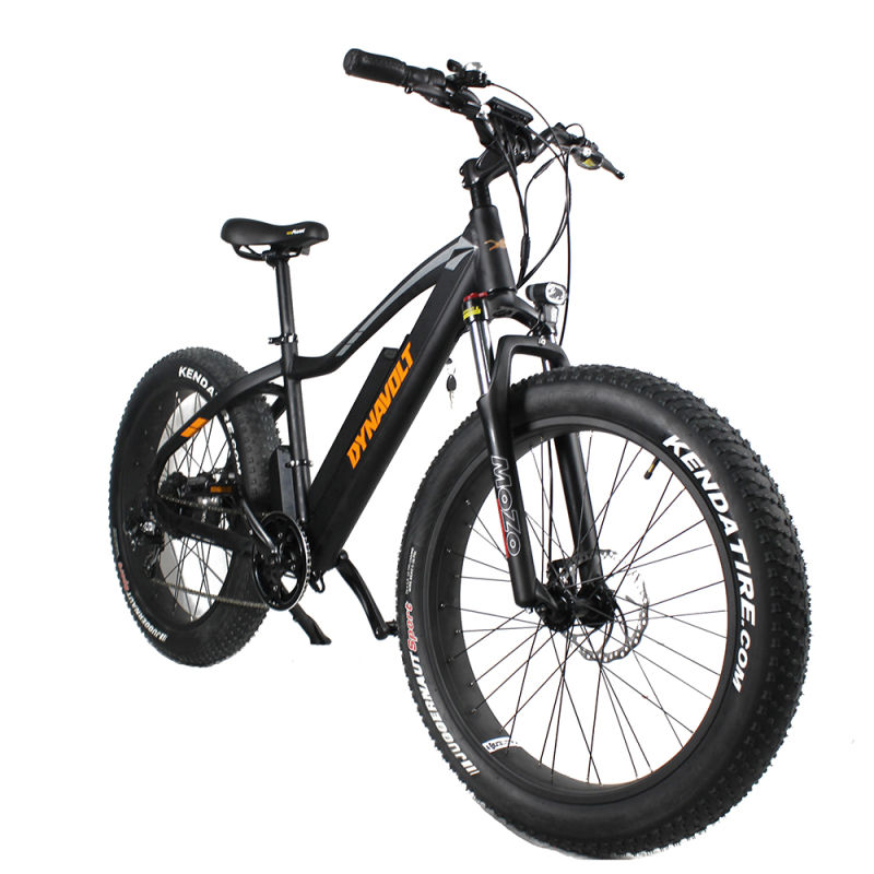 Electric Bicycle for Adult Cheap Price 48V 750W Rear Motor Electric Bike