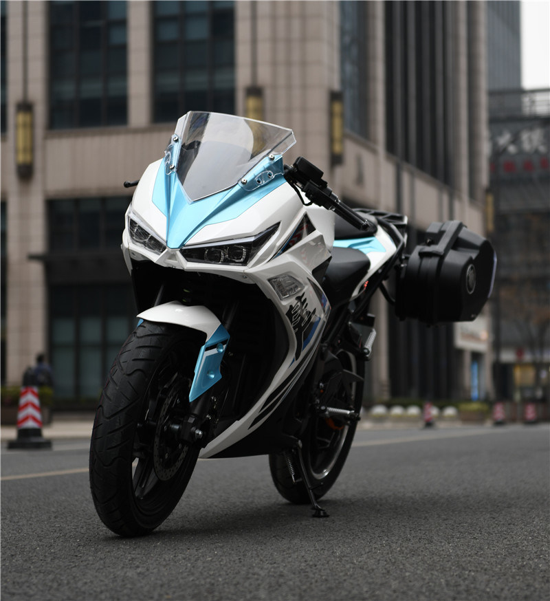 Popular Model Electric Motorcycle 3000W~12000W 150km Racing Sports Adult Electric Motorbike