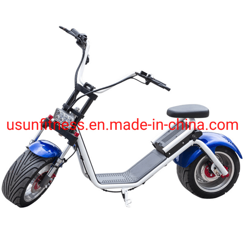 2021 Hot Electric Motorbike with Powerful Engine and Fat Tire