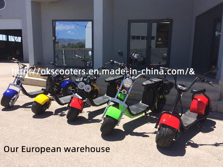 Factory Weped Ss Electric Scooter 2000W Electric Scooter Harley Electric Scooter