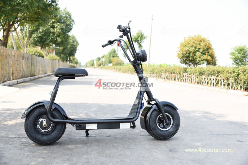 Cheap Model Two Wheels Cool Sport Electric Scooter Motorbike Citycoco