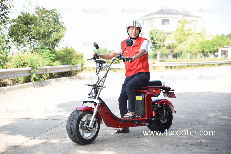 2020 New Hot Selling Heavy Load Citycoco Scooter Electric Motorbike