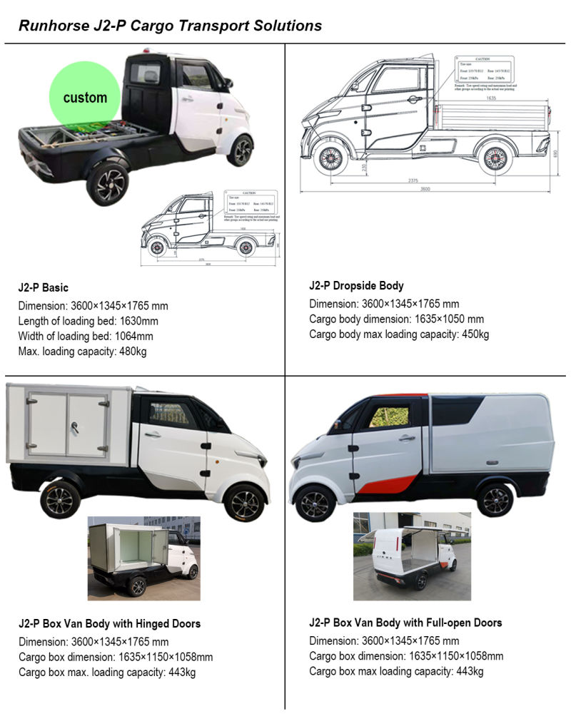 Mobility 4 Wheel EEC Electric Cargo Van for Express Delivery