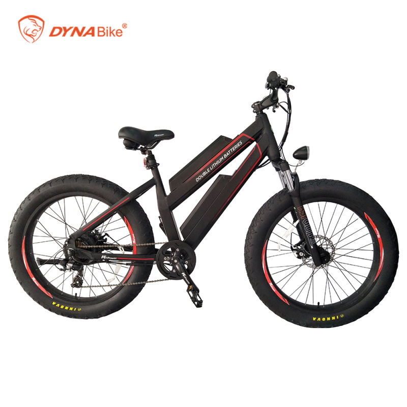 48V 750W Fat Bike Dual Lithium battery Electric Bicycle