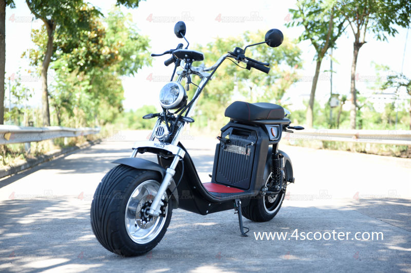 2020 New Hot Selling Heavy Load Citycoco Scooter Electric Motorbike
