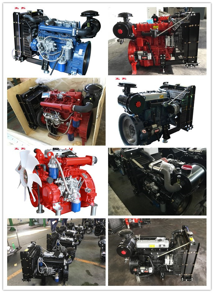 Black Color Small Diesel Engines Three Cylinders