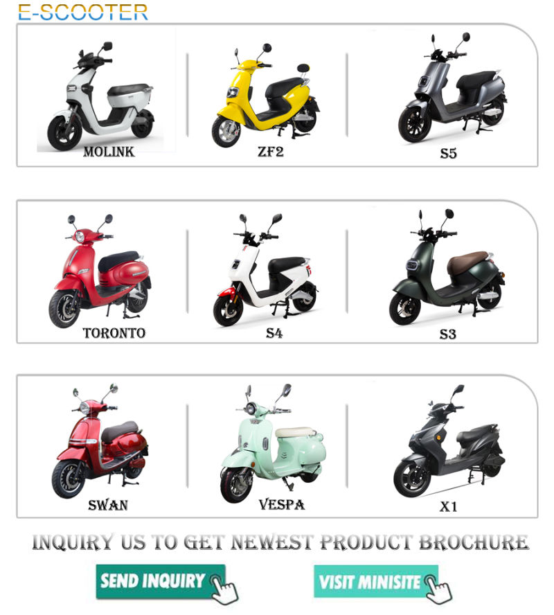 Mini 30km/H Electric Scooter 2 Wheel Motorbike for Adults