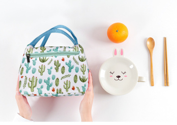 Multi-Functional Lunch Tote Bags with Shoulder Strap