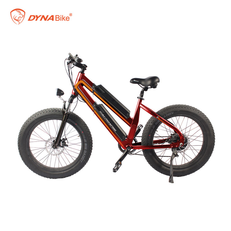 Swappable Lithium Battery Ebike Double 11.6ah 26inch Aluminum Alloy Electric+Bicycle