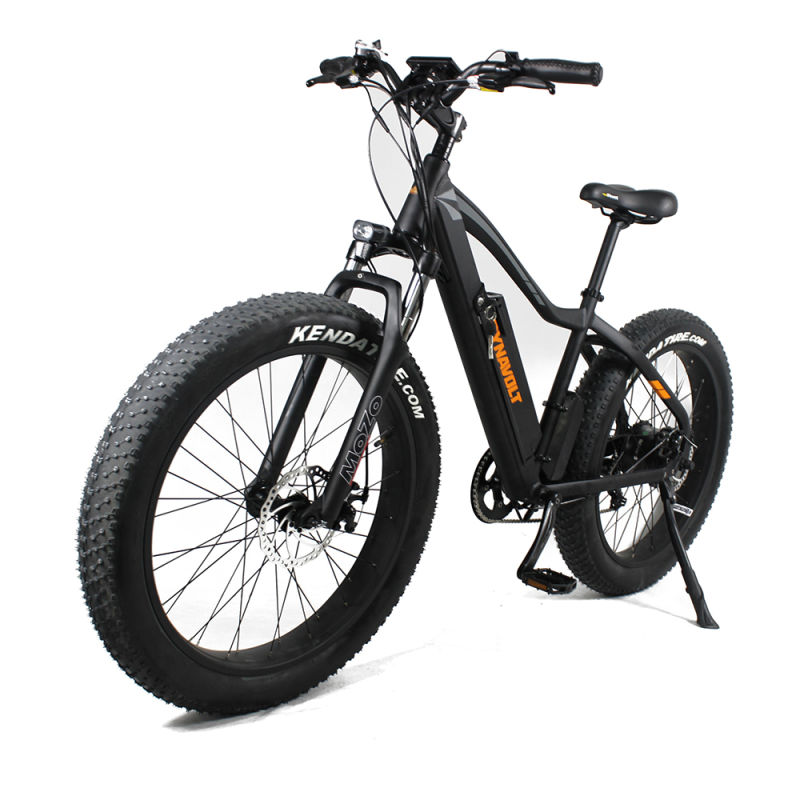 Electric Bicycle for Adult Cheap Price 48V 750W Rear Motor Electric Bike