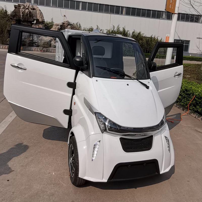 Mobility 4 Wheel EEC Electric Cargo Van for Express Delivery