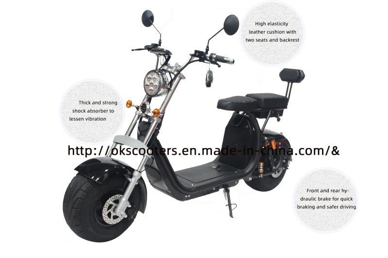 Factory Weped Ss Electric Scooter 2000W Electric Scooter Harley Electric Scooter