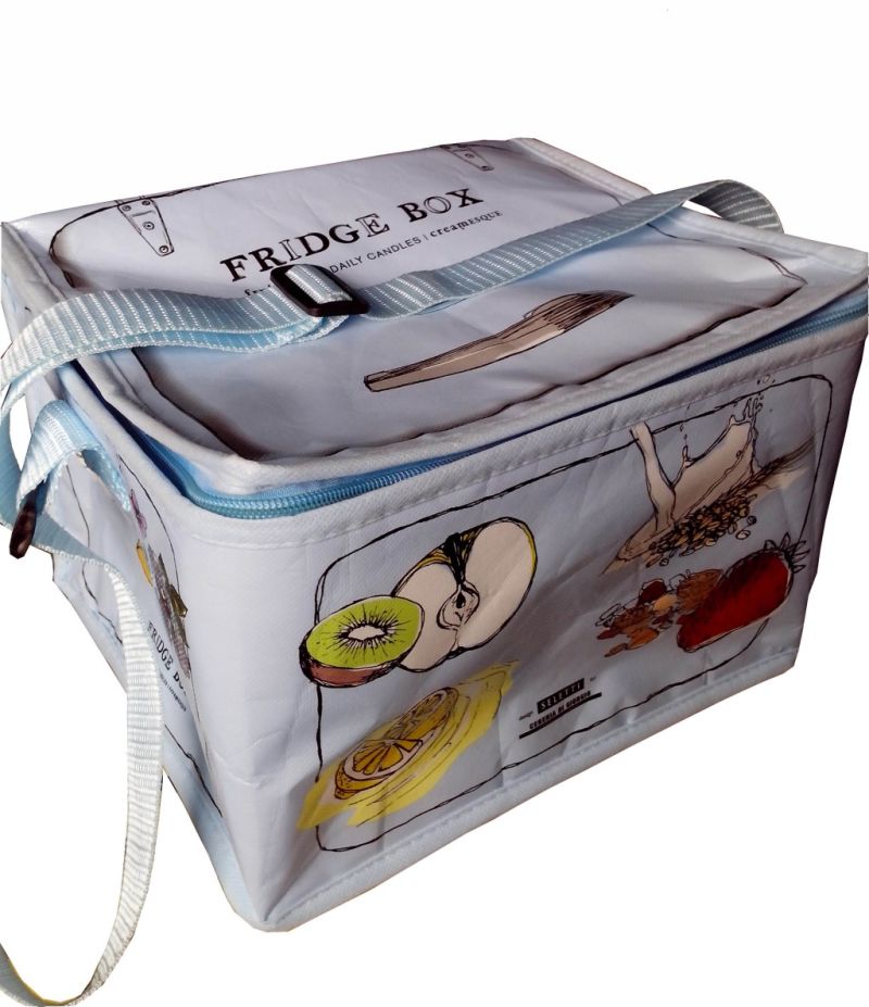 Shoulder Strap Insulated Cooler Bag