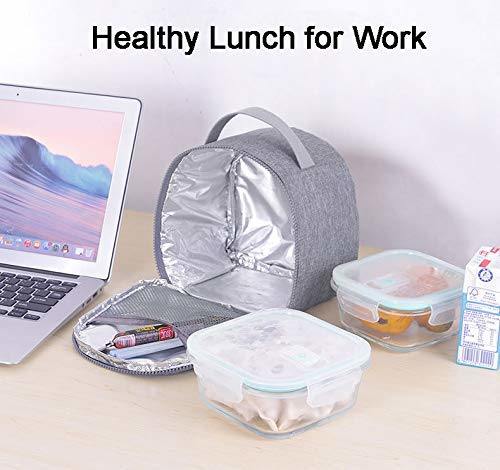 Mini Lunch Box Insulated Cooler Bag Lunch Bags for Work, Office