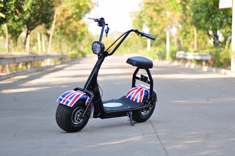 Cheap Model Two Wheels Cool Sport Electric Scooter Motorbike Citycoco