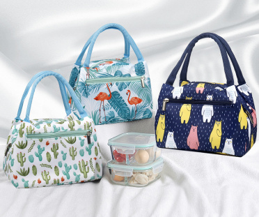 Multi-Functional Lunch Tote Bags with Shoulder Strap