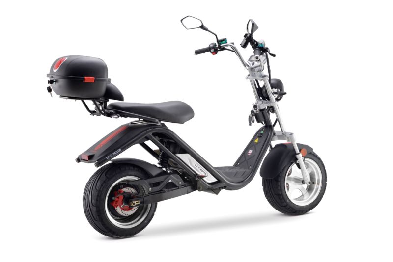 Adult Electric Bike Electric Bicycle E-Scooter Electric Motorcycle Electric Vehicle