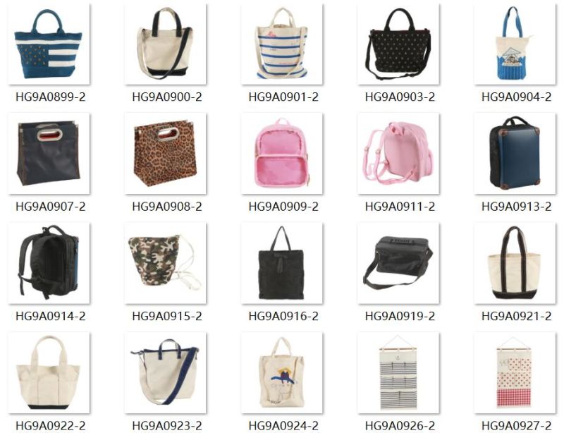 Ladies Handbag Designer Handbag Fashion Handbag Bag for Woman PU Leather Bag