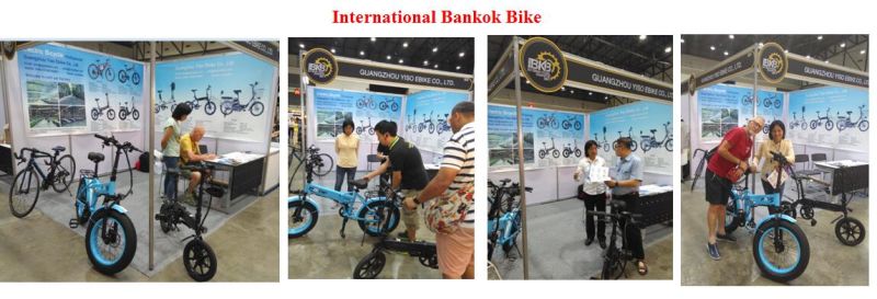 Ce Electric Small Folding Ebike Electric Bike / Bicycle