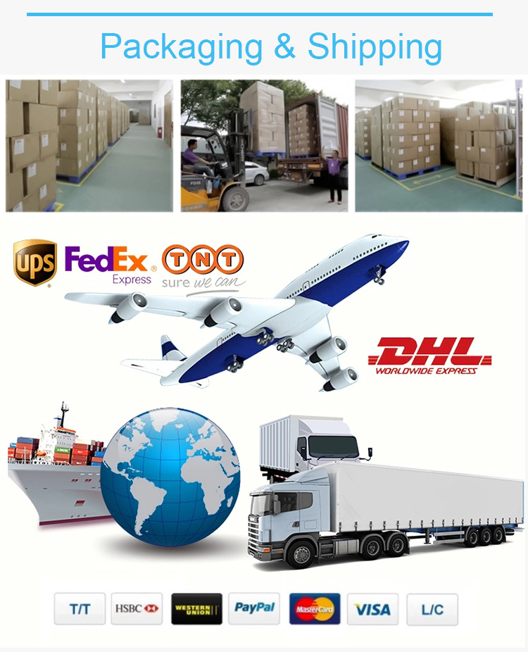 Embossed Printed Fancy Paper Bag with Your Own Design Women Handbags