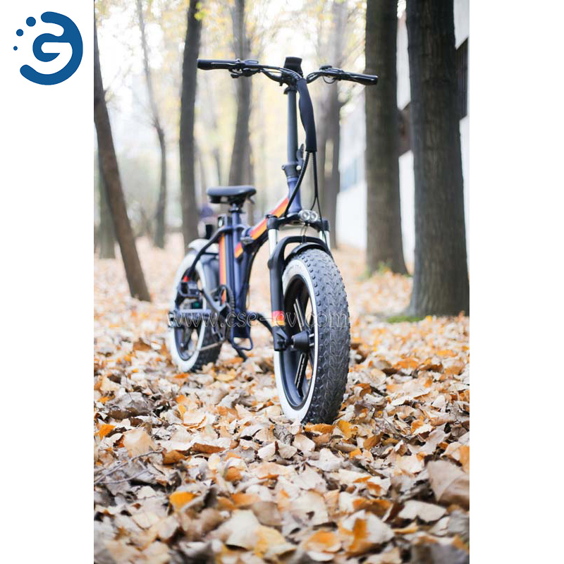 20inch Light Weight Electric City Bike Adult Mini Electric Bicycle for Hot Sale