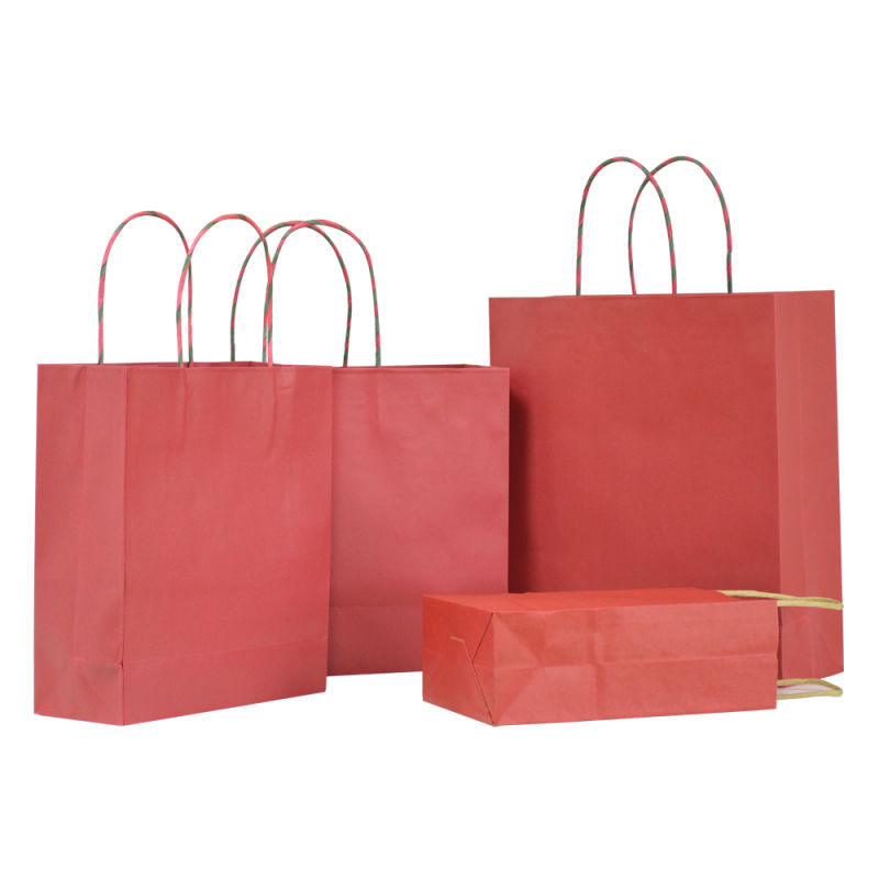 Luxury Gift Shopping Custom Printed Small Paper Bags with Logo