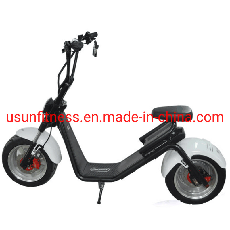 2021 Hot Electric Motorbike with Powerful Engine and Fat Tire